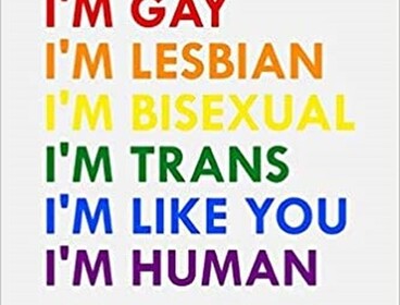 LGBTQ+ Vibz Hangout (For computers and tablets)