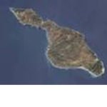 Catalina Island Fans