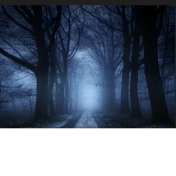 dark forest