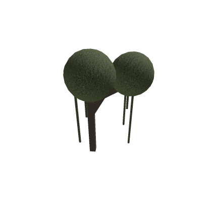 Swamp tree
