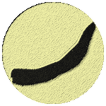 Frozenhorn fossil