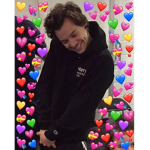 -harry's bears-
