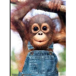 Monkeys are the boss ;)