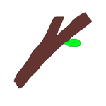 stick bunglers