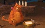 -CAT PAWS-