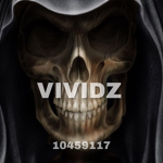 VIVIDZ
