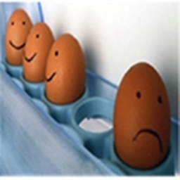 Life as an Egg