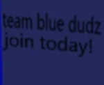 Team BlueDudz