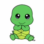 Tortoise Team