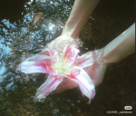 {Butterfly} :)