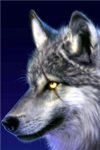 The Wolf Force