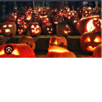 Halloweenspook