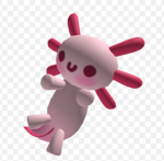 Axolotl JM