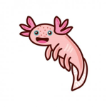 The Joey and the axolotl gang