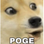 Pogger doggers