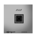 S.NS