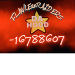 FLAWLE$$RAIDERS HOOD
