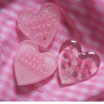 The best butterflies