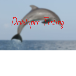 Dev Testing