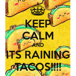 It's Raining Taco's