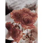 Rose Bouquets