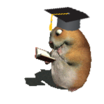 Chomnik Academy