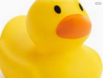 NYC Ducks 2