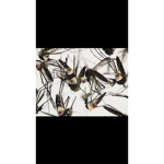 Home mosquito group club
