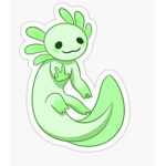 Best axolotl squad