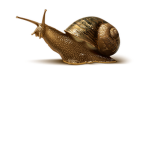 Ciano