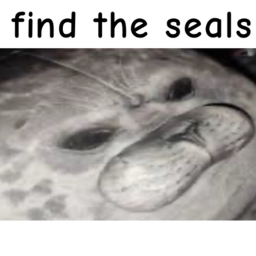 Find the Seals! [40]