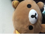 Bears ;)