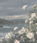 summer’s studio