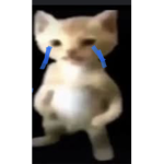 Un grupo triste y feliz a la vez