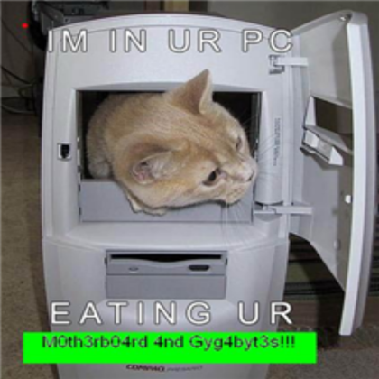 Funny Cats: Computer Cat Roblox decal