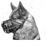 V̴̟͍̠̙̮̩̬̻͓̑͂́Ḭ̶͎̣̞̯͕́̈́͂̑̊́̓ K-9 Ư̸̰̼̭͉̊̄̀́̕͘NIT