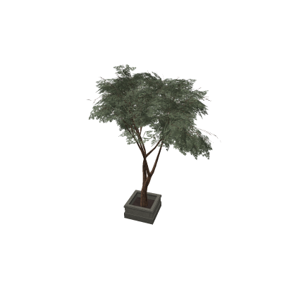 Treebox