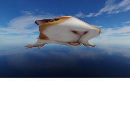 guiNEA PIG ROLEPLAY