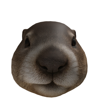 Beaver Head Roblox item