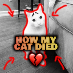how my cat died ( very sad ) icon