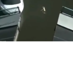 raid bois