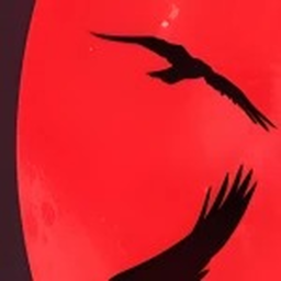 Rise