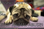 Animal Cruelty Haters 4EVER