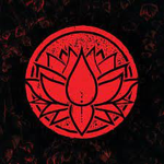 The Lotus FamiIy