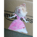 ratitas parrilleras