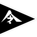 Black Flag Fleetᅠ
