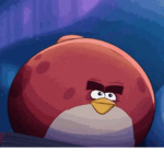 terence the group