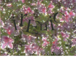 •irenic•