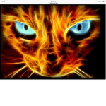 The flaming cats