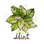 mint fandom
